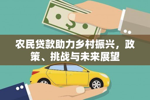 南港农民贷款助力乡村振兴，政策、挑战与未来展望