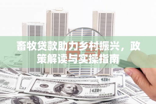 南港畜牧贷款助力乡村振兴，政策解读与实操指南