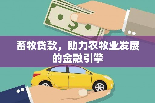 南港畜牧贷款，助力农牧业发展的金融引擎