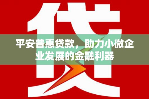 南港平安普惠贷款，助力小微企业发展的金融利器