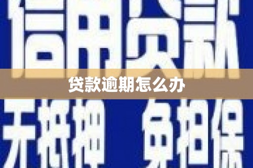 南港贷款逾期怎么办