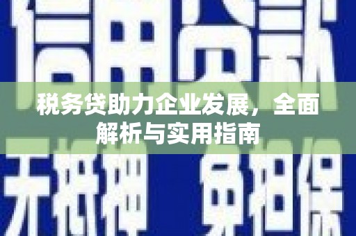 南港税务贷助力企业发展，全面解析与实用指南