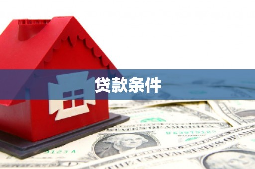 南港贷款条件