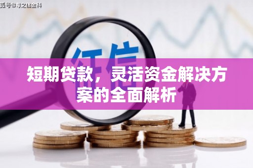 南港短期贷款，灵活资金解决方案的全面解析