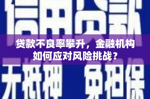 南港贷款不良率攀升，金融机构如何应对风险挑战？