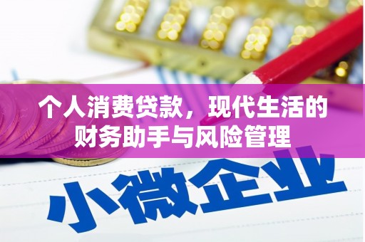 南港个人消费贷款，现代生活的财务助手与风险管理