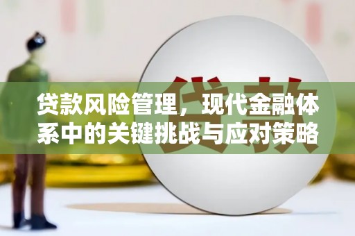 南港贷款风险管理，现代金融体系中的关键挑战与应对策略
