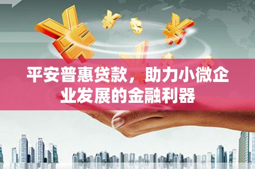 南港平安普惠贷款，助力小微企业发展的金融利器