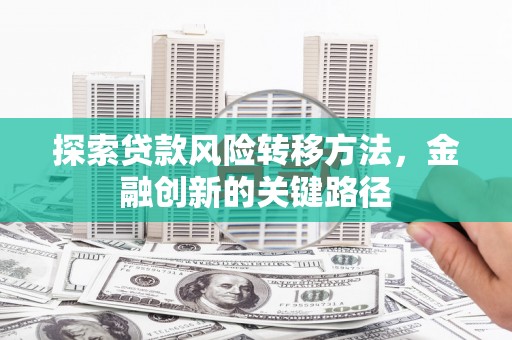 南港探索贷款风险转移方法，金融创新的关键路径
