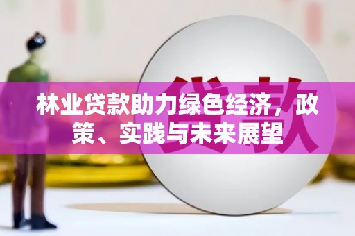 南港林业贷款助力绿色经济，政策、实践与未来展望