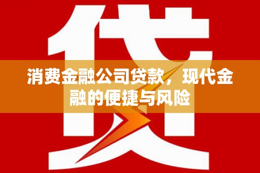 南港消费金融公司贷款，现代金融的便捷与风险