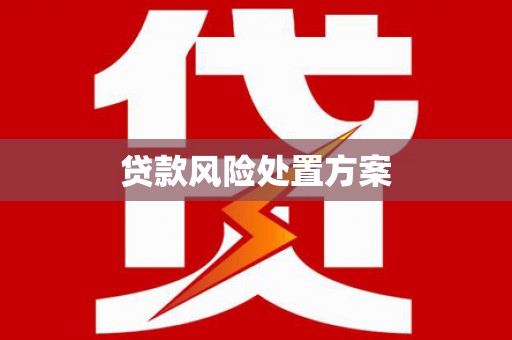 南港贷款风险处置方案